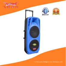 Double 10′′ Professional Stag Speaker with Colorful Light F73